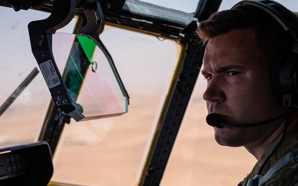 Two Birds, One Mission African Lion 21