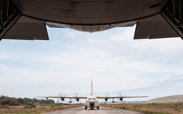 Two Birds, One Mission African Lion 21