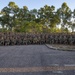 Exercise Darrandarra: vehicle-borne IED security