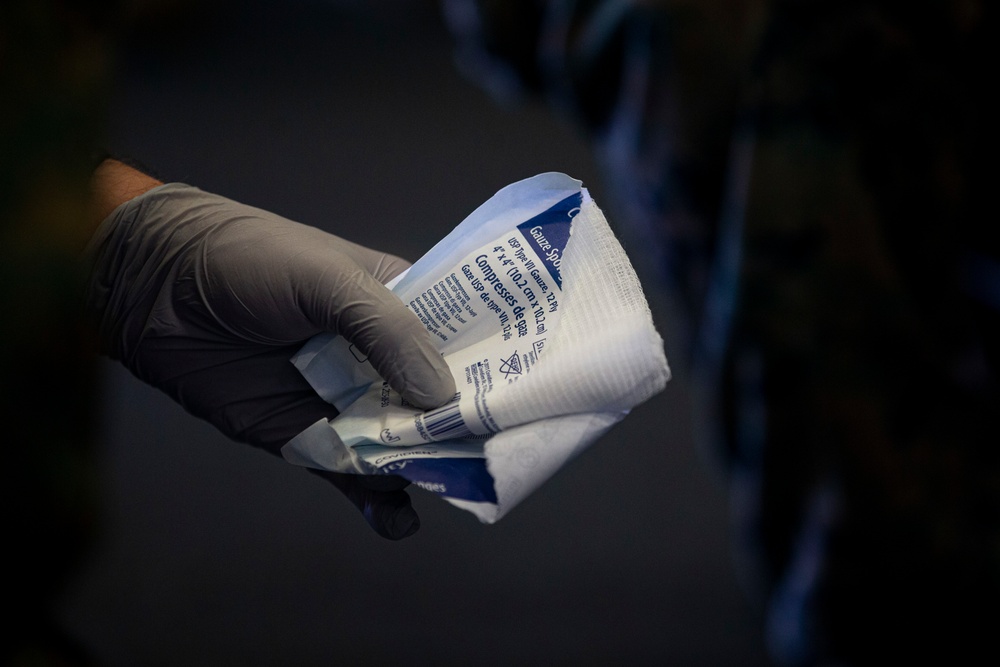 US Marines and Sailors conduct a live fresh old blood transfusion demonstration