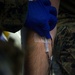 US Marines and Sailors conduct a live fresh old blood transfusion demonstration