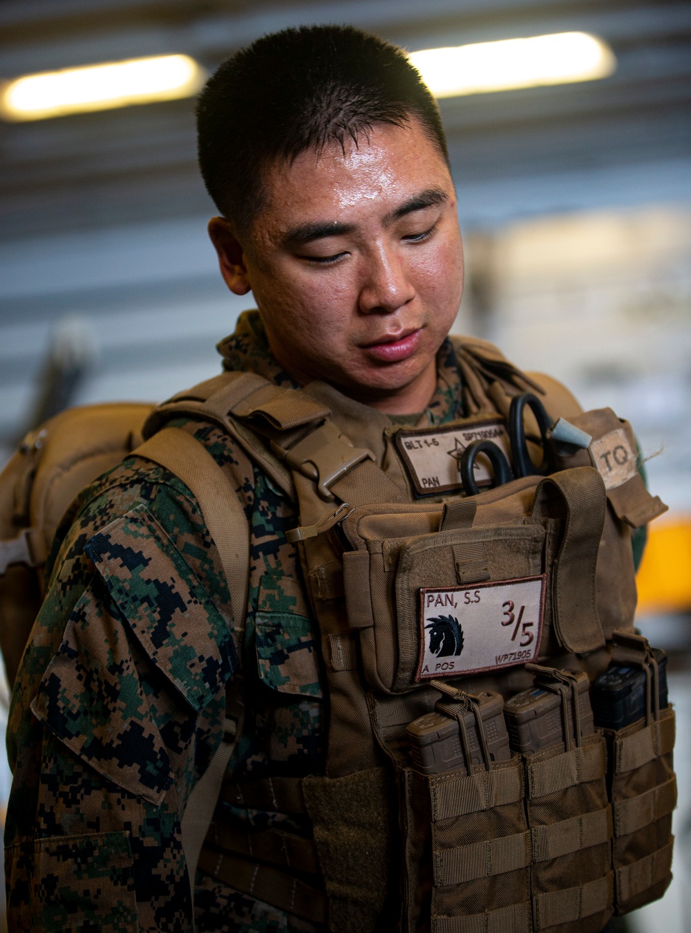 US Marines and Sailors conduct a live fresh old blood transfusion demonstration