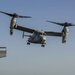 USS Hershel "Woody" Williams MV-22 flight operations