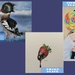 Air Force announces art contest winners
