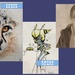 Air Force announces art contest winners