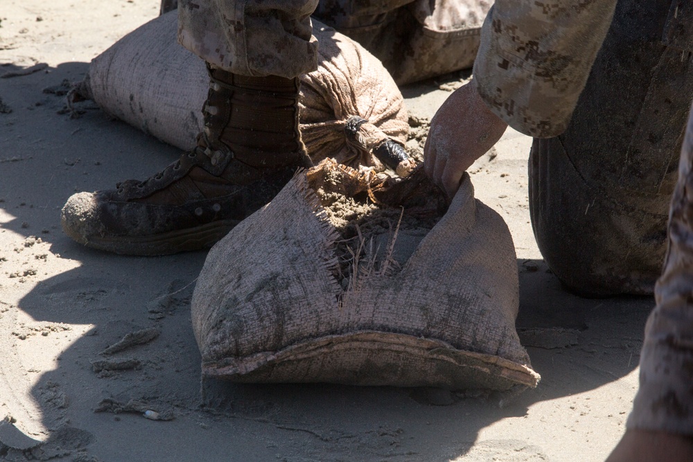 Martial Arts Instructors Course Culminating Event