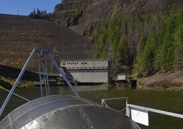That sounds fishy: twisting traps troll tributaries in the Willamette