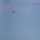 Coast Guard dewaters, tows sinking boat with 4 people aboard 32 miles off Wachapreague