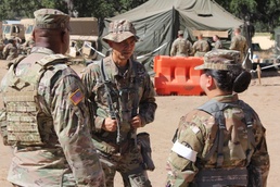 Observer Coach / Trainers collect observations from the field