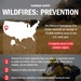 Summer Safety: Wildfires Prevention