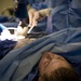 US Navy Sailors conduct a simulated mass casualty drill in response to a helicopter raid training exercise