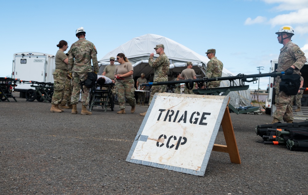 152nd Medical Group &quot;SURF-P&quot; (CERFP) Participates in Joint Exercise in Hawaii