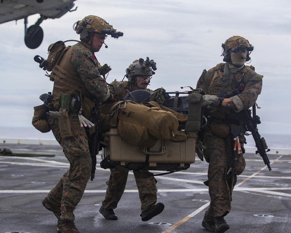 Force Reconnaissance Platoon Raid