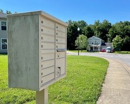 Mail-in colon cancer screening eliminate need for colonoscopy for most