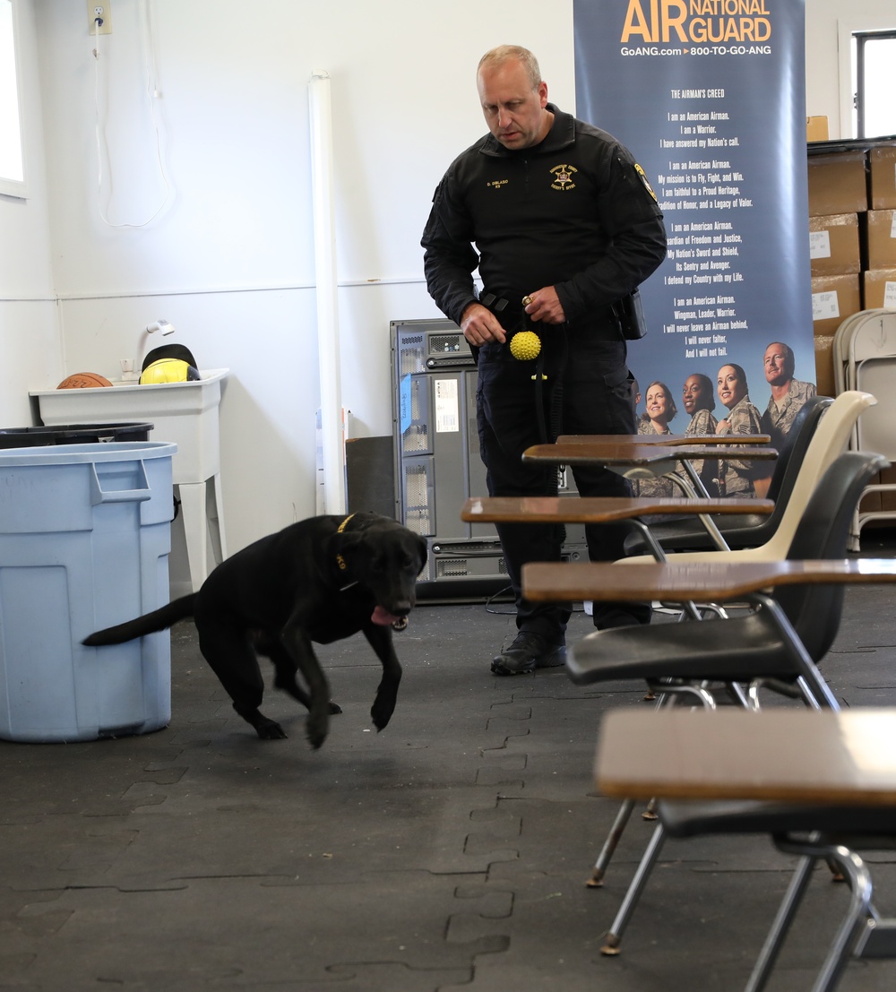 County Sheriff trains dogs at Stratton ANGB