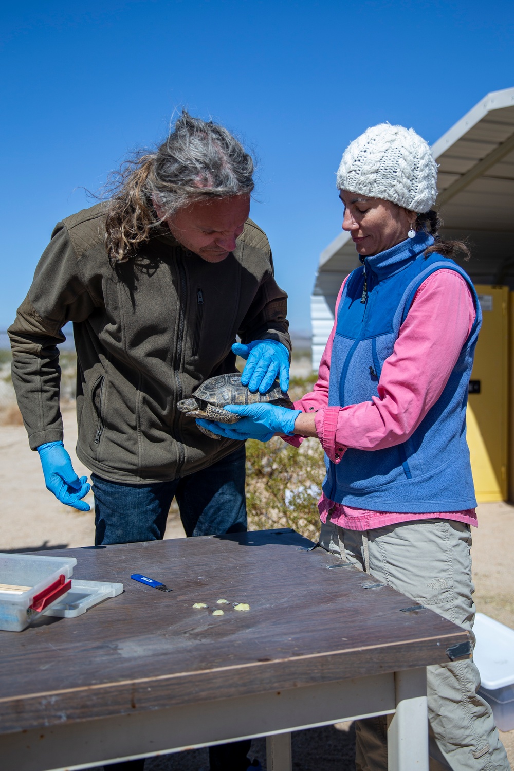 Combat Center Environmental Affairs rehabilitates injured desert tortoise