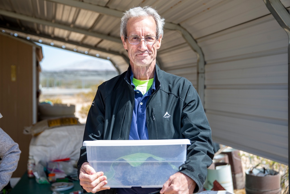 Combat Center Environmental Affairs rehabilitates injured desert tortoise