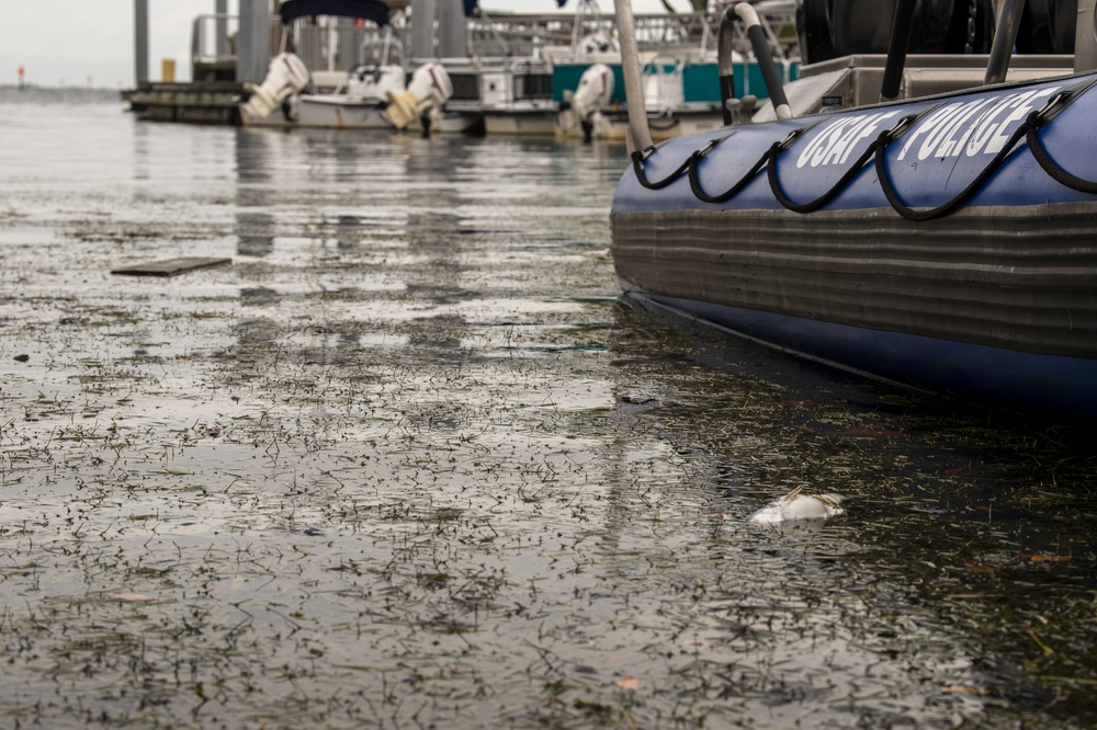 MacDill monitors red tide