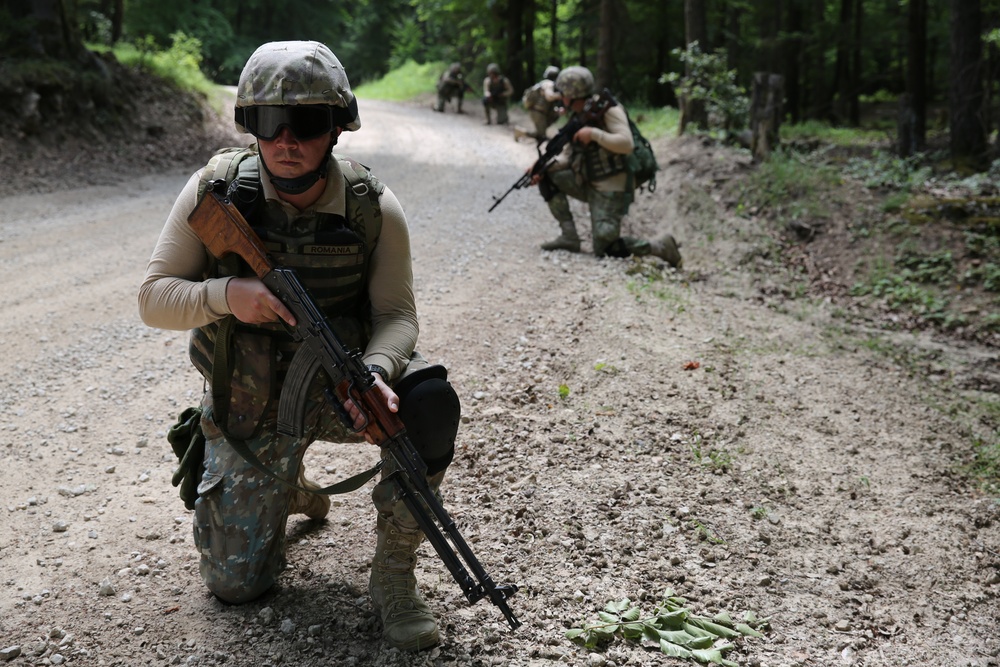 Guarding The Woods