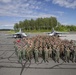 &quot;America's Airwing&quot; trains Finnish Air Force Fighter Squadron 31