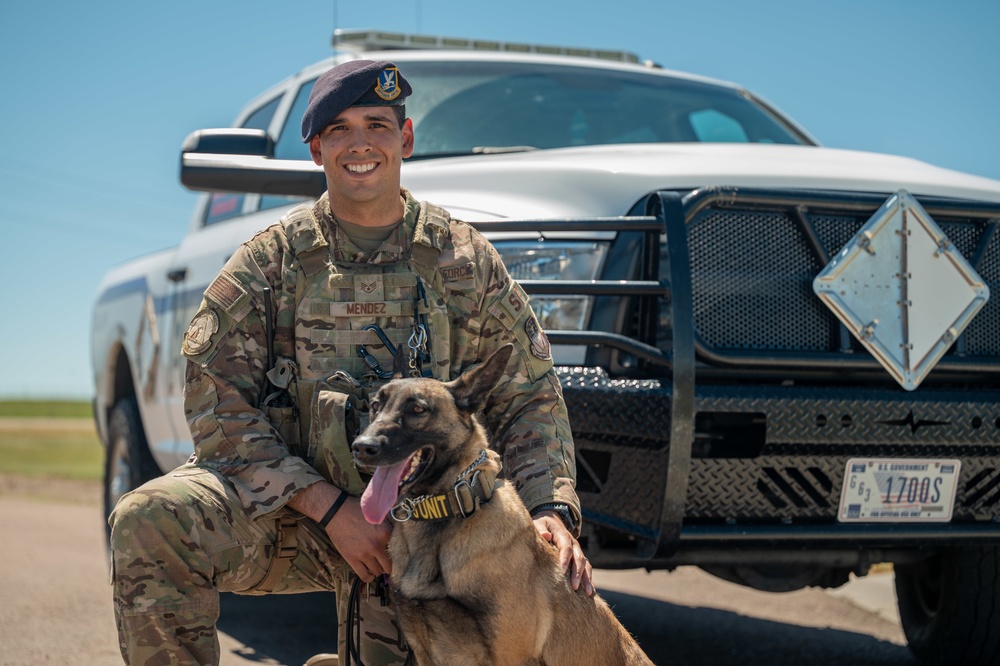 DOD/MWD K-9 Obstacle course