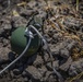 Task Force Koa Moana 21 Munitions Disruption Range