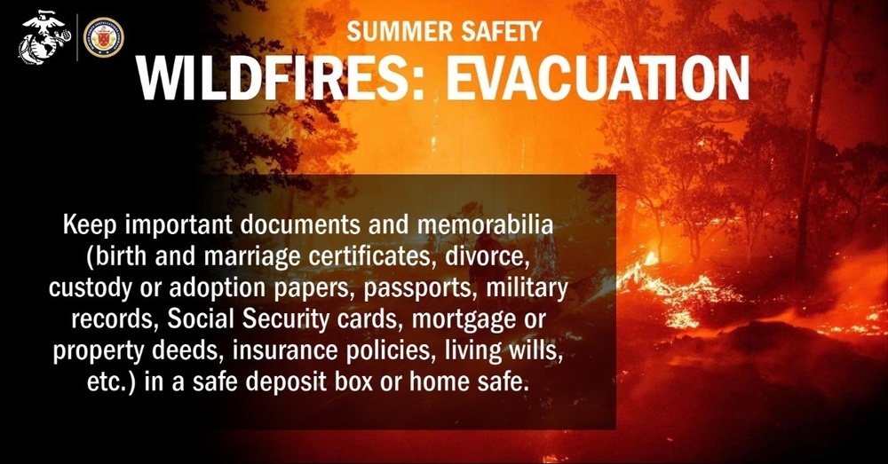 Summer Safety: Wildfire Evacuation