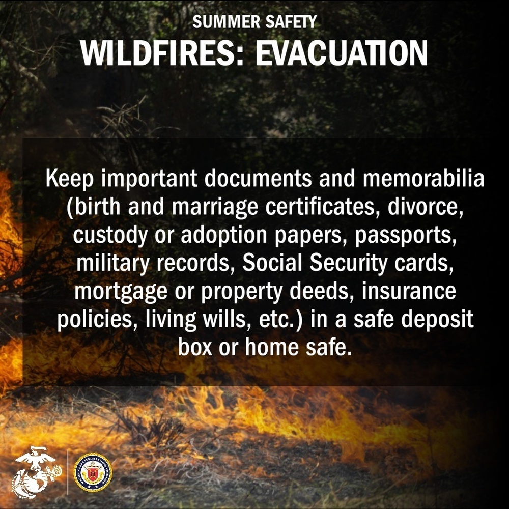 Summer Safety: Wildfire Evacuation