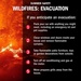 Summer Safety: Wildfire Evacuation