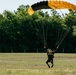 Parachutist on Army Golden Knights makes jump