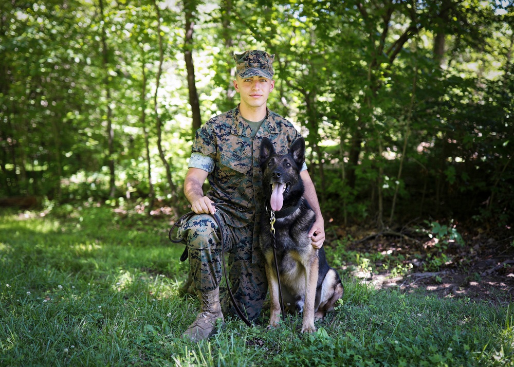 Marines of the Crossroads: Lance Cpl. Mason Avers, MWD Handler