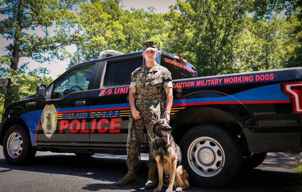 Marines of the Crossroads: Lance Cpl. Mason Avers, MWD Handler