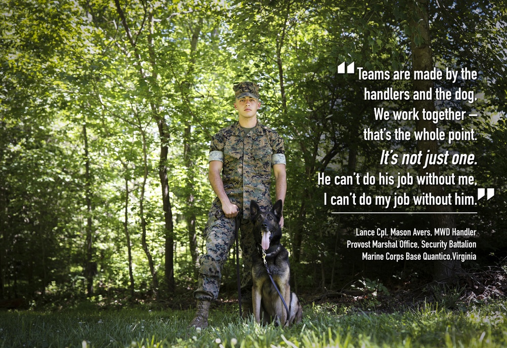 Marines of the Crossroads: Lance Cpl. Mason Avers, MWD Handler