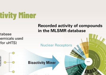 Talking the Same Talk