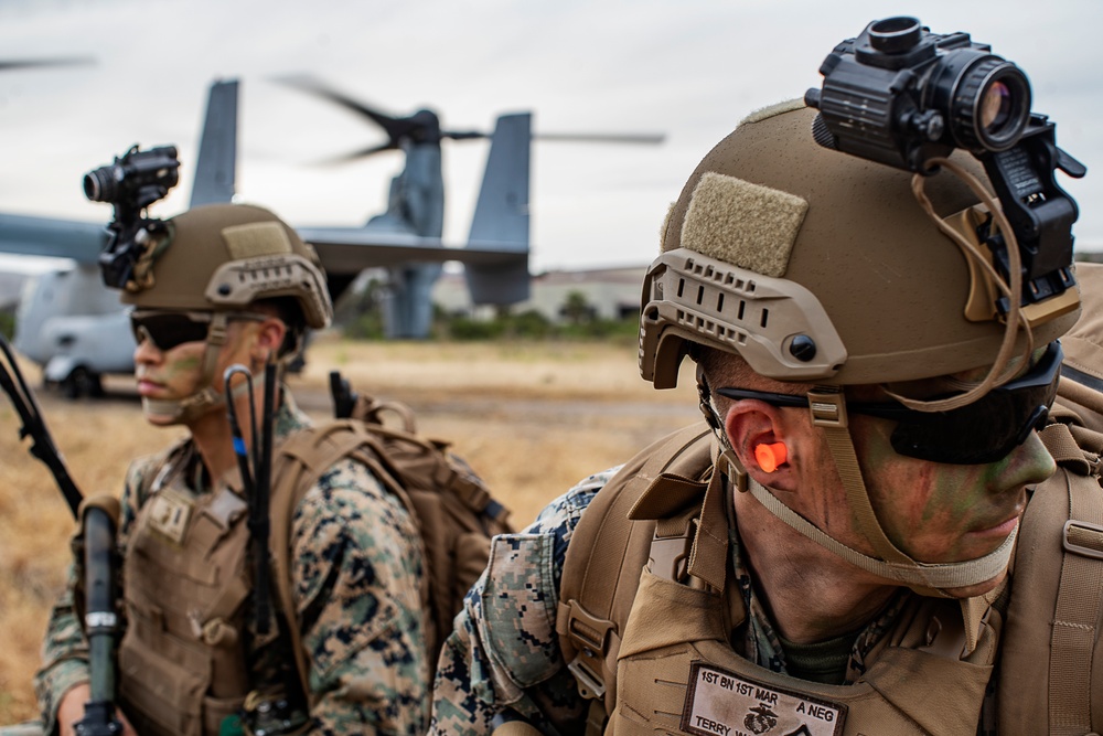 BLT 1/1 Marines Conduct Ampibious Assult Exercise at Camp Pendleton