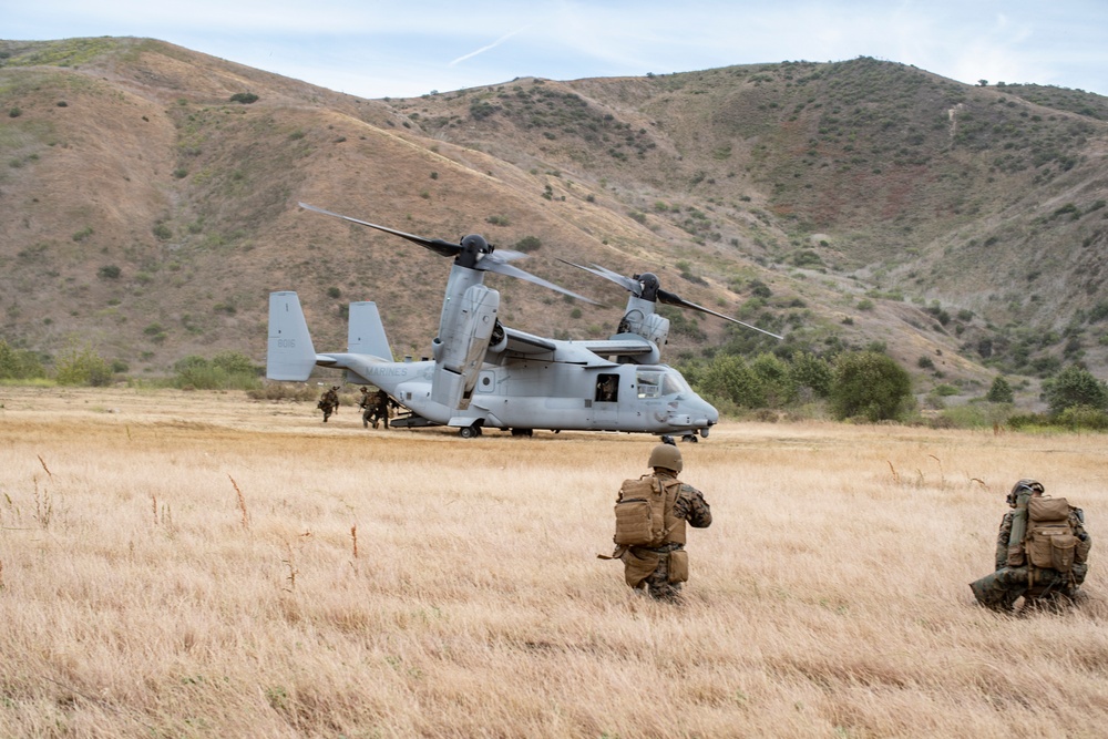 BLT 1/1 Marines Conduct Ampibious Assult Exercise at Camp Pendleton