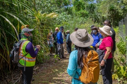 DoD Shares Innovative Forest Enhancement Techniques with Marianas Conservationists