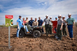 How the U.S. Army Corps of Engineers is taking action to help pollinators