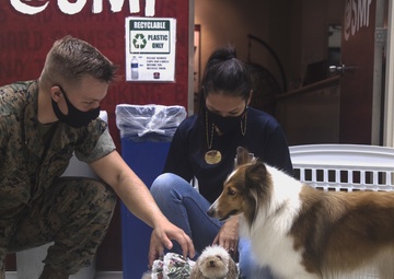 SMP Bring your dog to work day