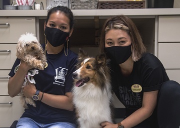 SMP Bring your dog to work day