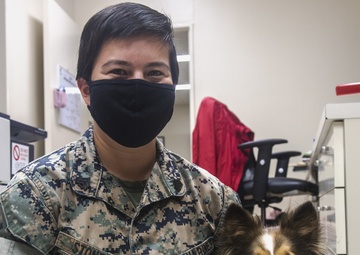 SMP Bring your dog to work day