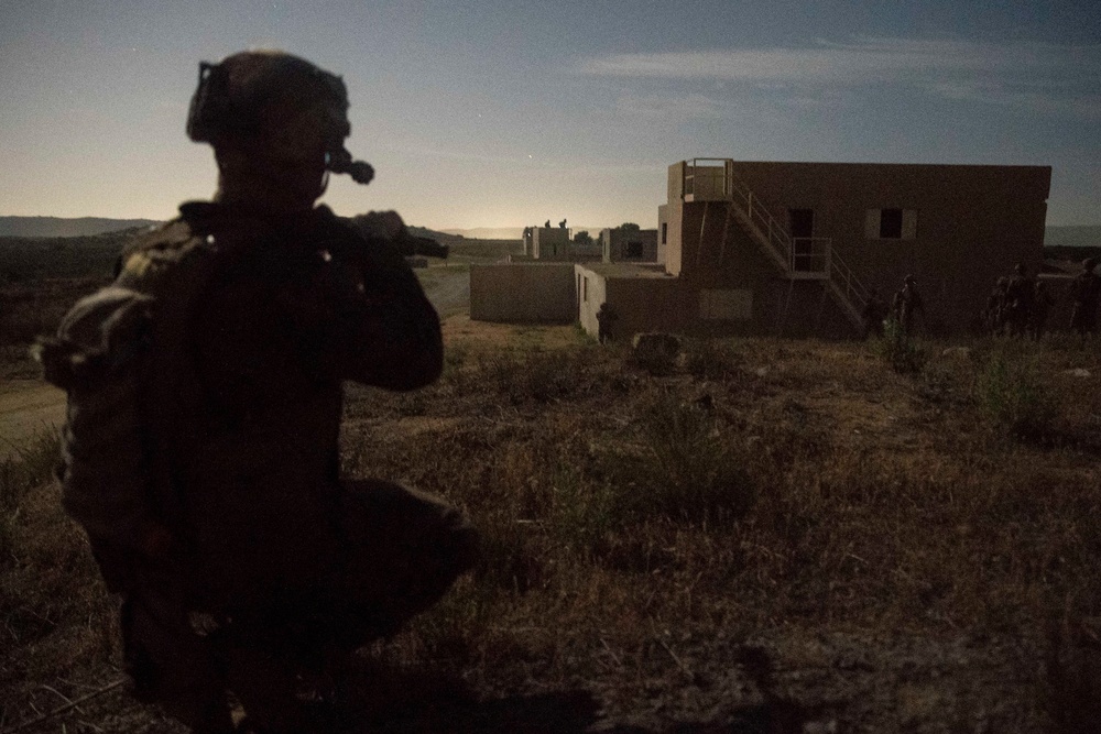 Alpha Co, BLT 1/1 Conducts Amphibious Assault Exercise at Camp Pendleton