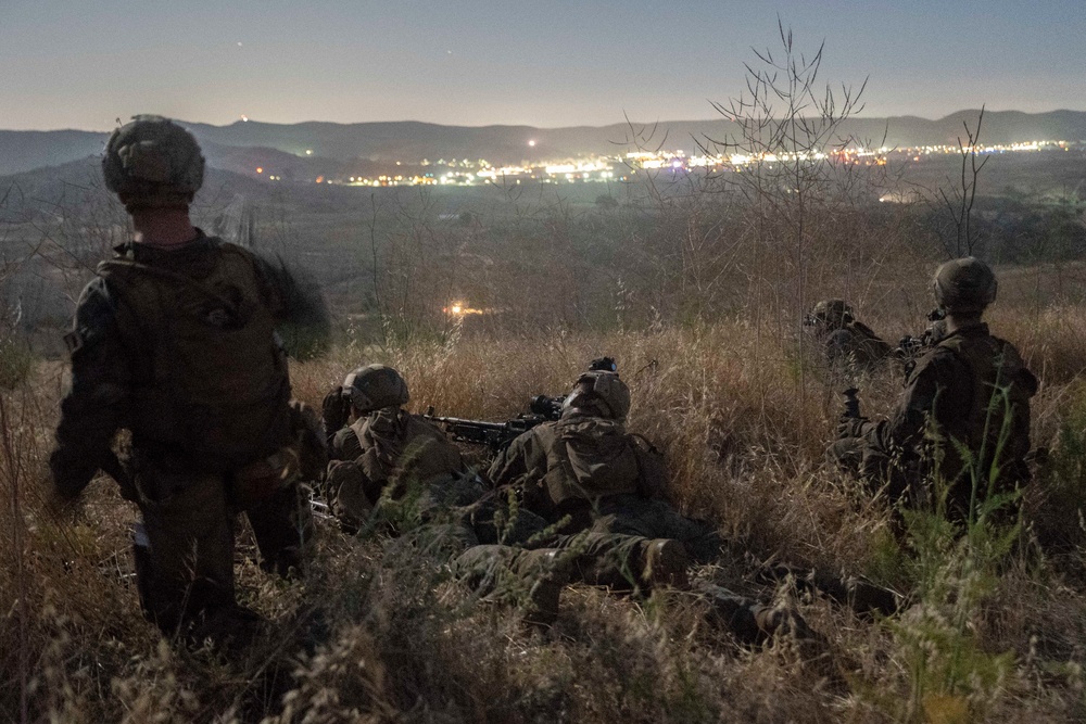 Alpha Co, BLT 1/1 Conducts Amphibious Assault Exercise at Camp Pendleton