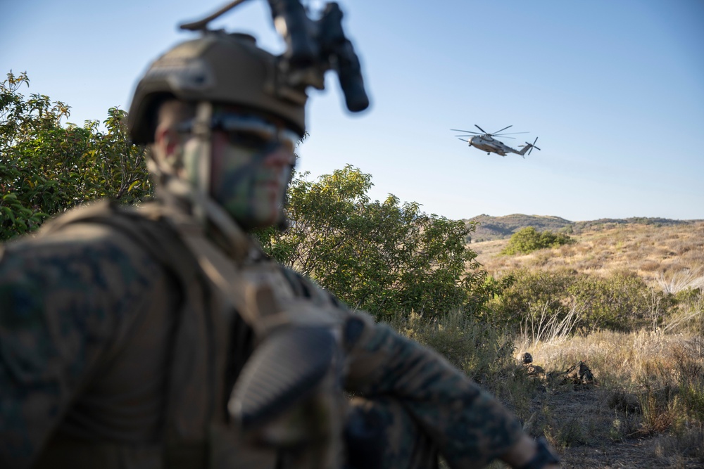 Alpha Co, BLT 1/1 Conducts Amphibious Assault Exercise at Camp Pendleton