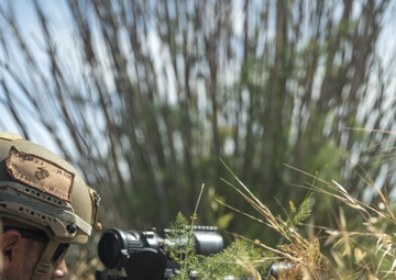 Charlie Co, BLT 1/1 Marines Seize Airfield during Amphibious Assault Exercise