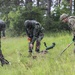U.S. Army Explosive Ordinance Disposal (EOD) Soldiers Train with Romanian counterparts