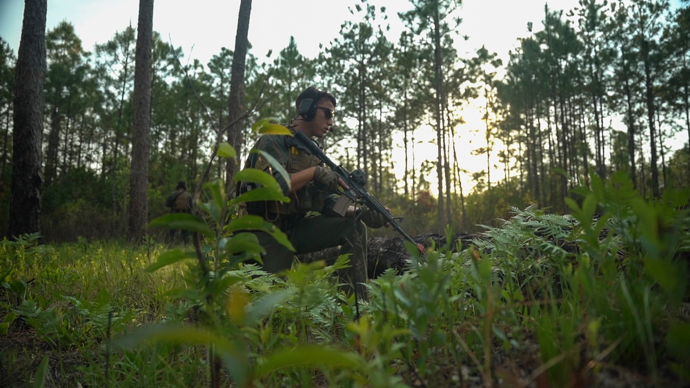 MARSOC and SRT increase force readiness through integrated training
