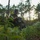 MARSOC and SRT increase force readiness through integrated training