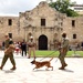 NTTC Lackland conducts demonstrations during Navy Day at the Alamo
