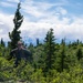 Red Flag-Alaska 21: S.E.R.E. supports downed pilot scenario